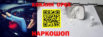 соль ск Новозыбков