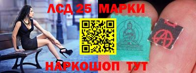 Альфа ПВП Новодвинск