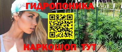 ПСИЛОЦИБИНОВЫЕ ГРИБЫ Новокубанск
