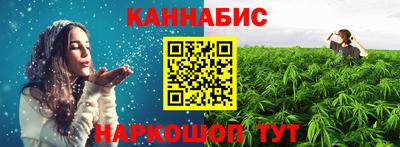 соль ск Новозыбков