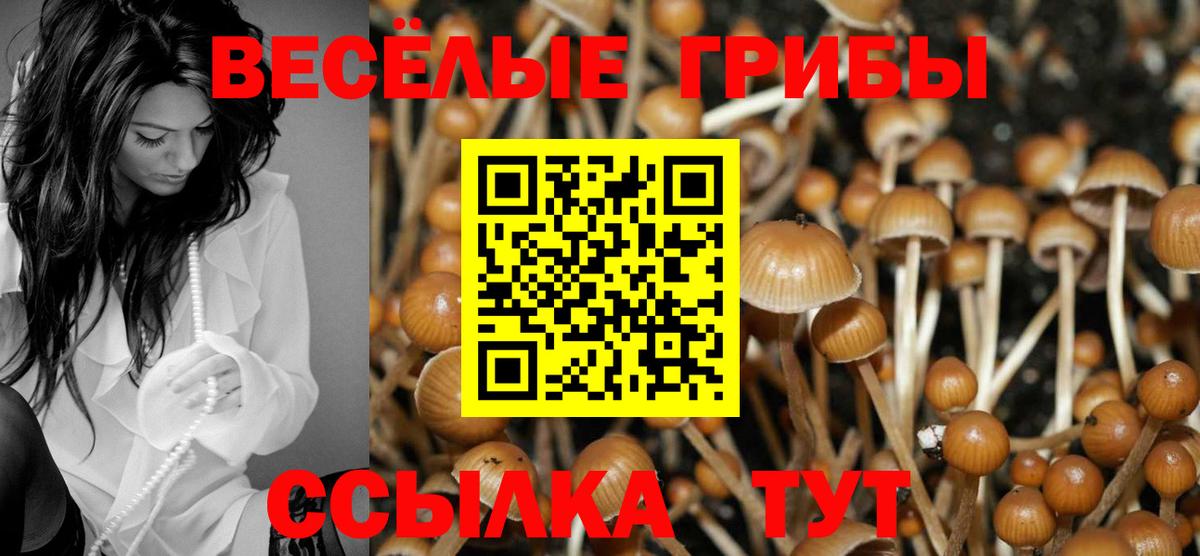 Галлюциногенные грибы мухоморы Фурманов